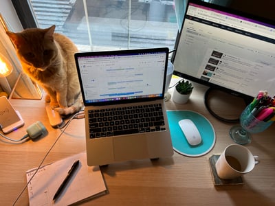 work from home desk lay