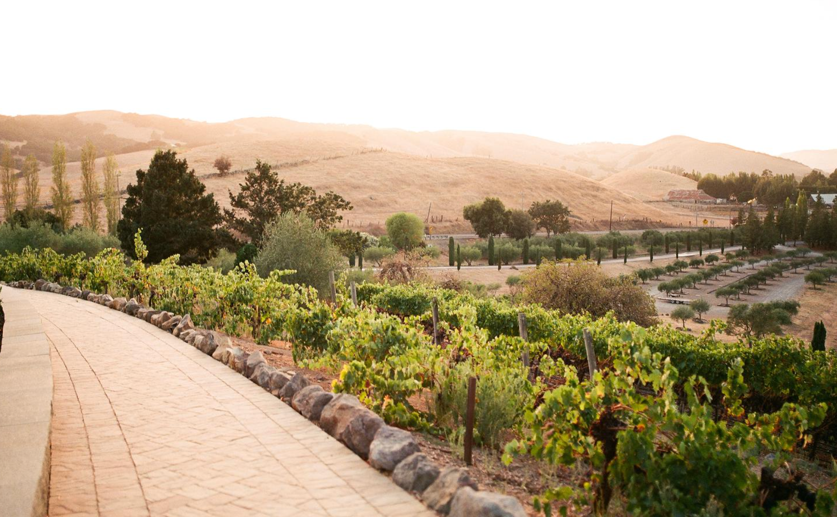 The Top California Wineries List for Private Events